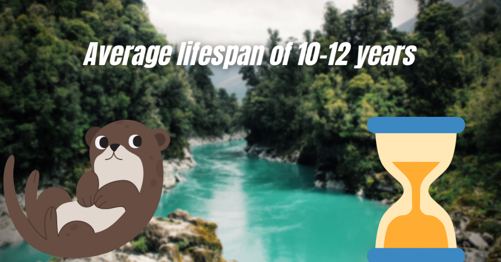 average lifespan of giant otters