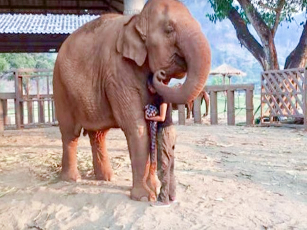 elephant and the caretaker