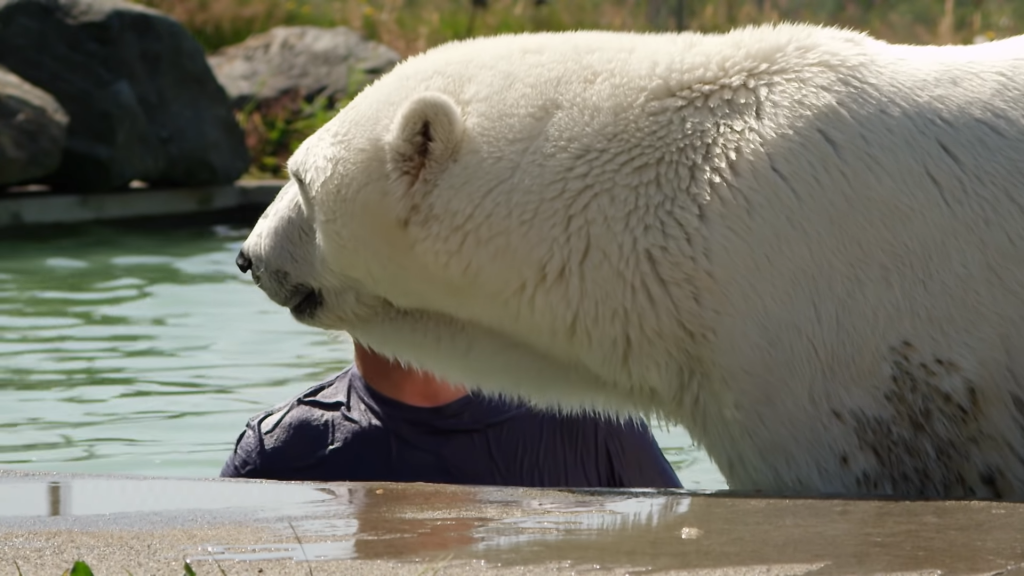 agee and mark in the pool